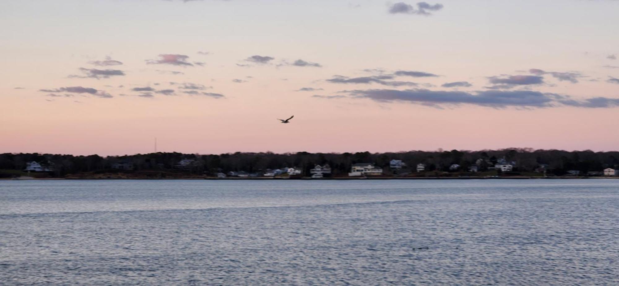 Motel Ocean View Terrace Hampton Bays Zewnętrze zdjęcie
